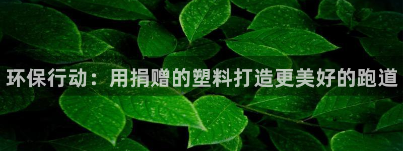 尊龙凯时 人生就是搏!平台：环保行动：用捐赠的塑料打