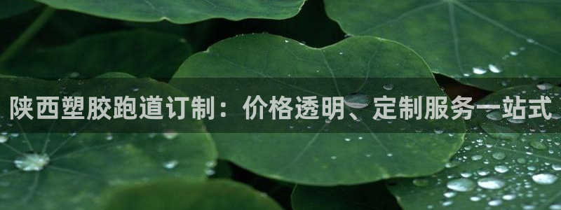 尊龙凯时取款不成功：陕西塑胶跑道订制：价格透明、定制服务一站式