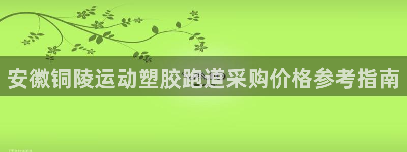 尊龙集团官网：安徽铜陵运动塑胶跑道采购价格参考指南