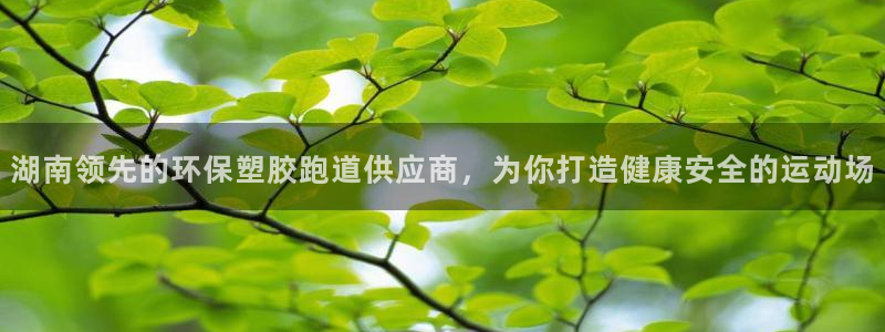 尊龙d88官网登录下载：湖南领先的环保塑胶跑道供应商