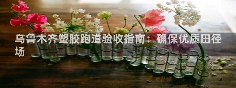 尊龙怎么没消息了：乌鲁木齐塑胶跑道验收指南：确保优质田径
场