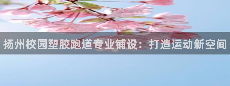 尊龙凯时平台还是万博好：扬州校园塑胶跑道专业铺设：打造运动新空间